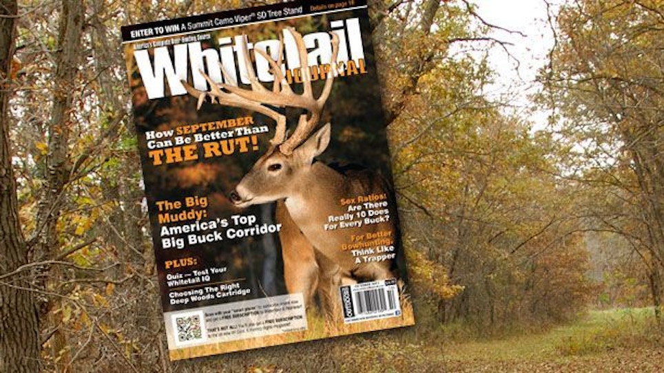 Whitetail Journal September Issue Preview