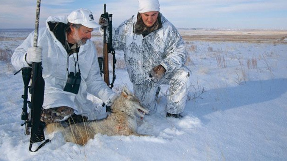 Tips for Hunting Coyotes in High Wind