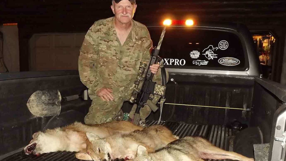 From The Readers: Coyote Shootout!