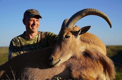 It's tough to make precise long-range shots with scopes that max out at 9x or 10x. With an EOTECH Vudu 3.5-18x50 SFP dialed to 15x, the author was able to tag this management aoudad ewe.