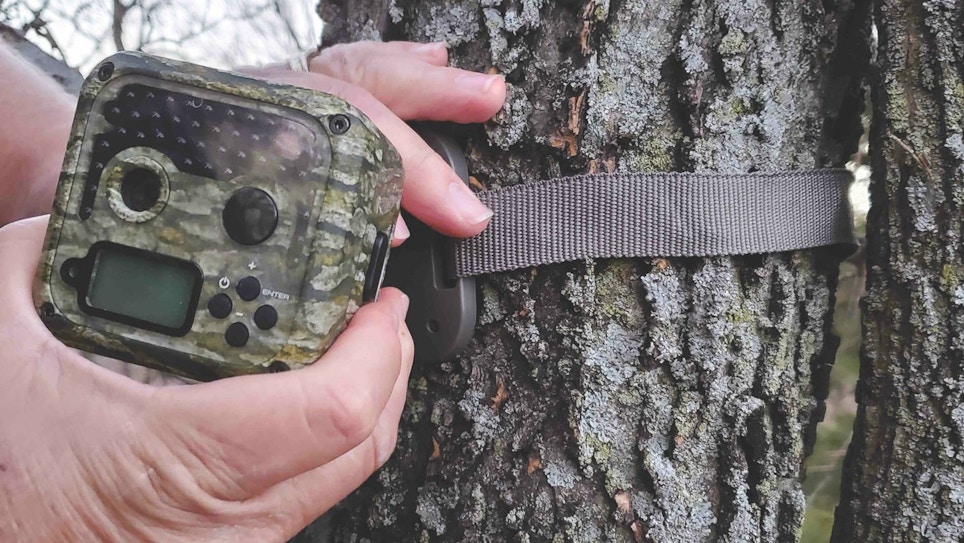 Great Trail Cameras to Capture Retail Traffic