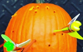 Halloween- and Thanksgiving-Themed NASP Photo Contests