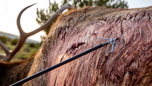 Mechanical Broadheads Legal in All 50 States and Other Industry News