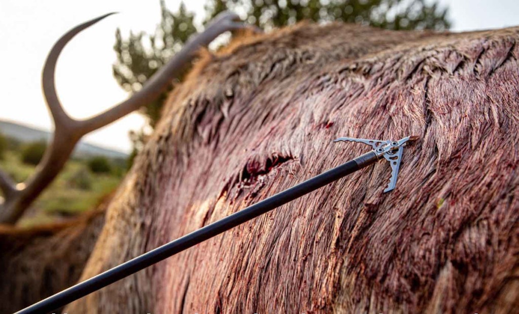 Mechanical Broadheads Legal in All 50 States and Other Industry News