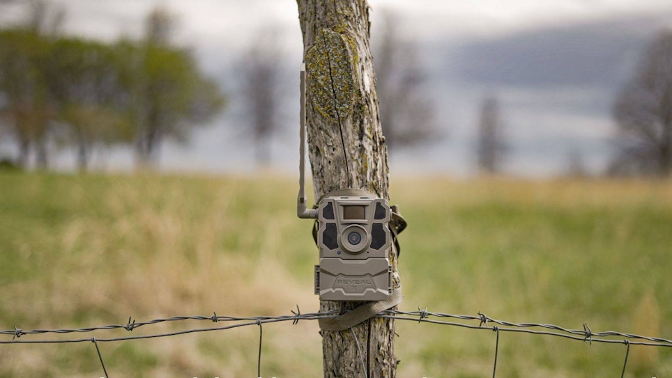 Top-Selling Trail Cams