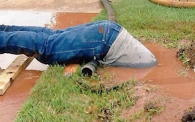 Headfirst Plunge By Utility Worker Goes Viral