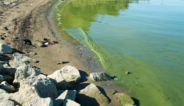 Will Municipal Green Infrastructure Save Lake Erie?