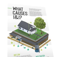 Free Poster: Causes of I&I