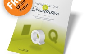 Quantitative Versus Qualitative Analysis in Sewer Inspection
