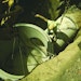 Manhole Equipment And Rehabilitation