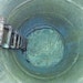 Dissolving Sewer Grease Problems