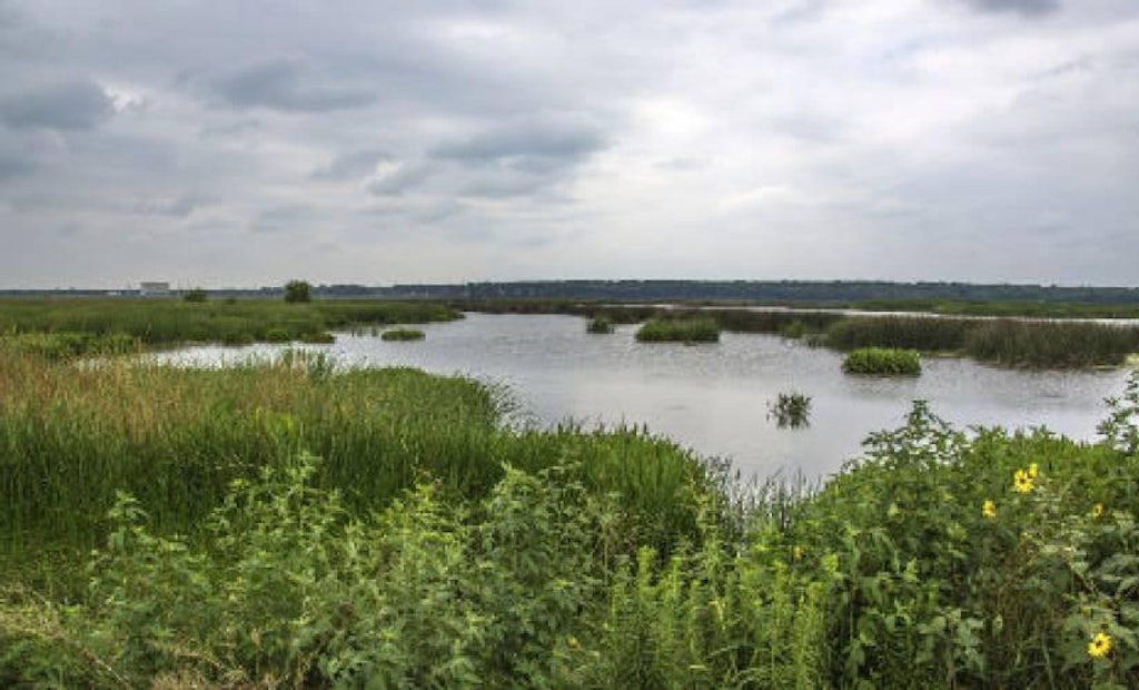 EPA Finalizes Controversial Clean Water Rule