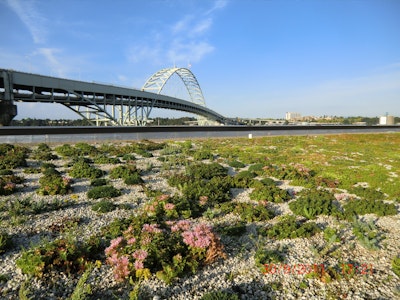 Green roof incentives boost stormwater management in Portland
