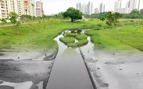 Video Contest Winners Share Important Messages About Stormwater