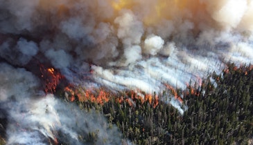 WRF Releases Report About Wildfire Impacts on Drinking Water