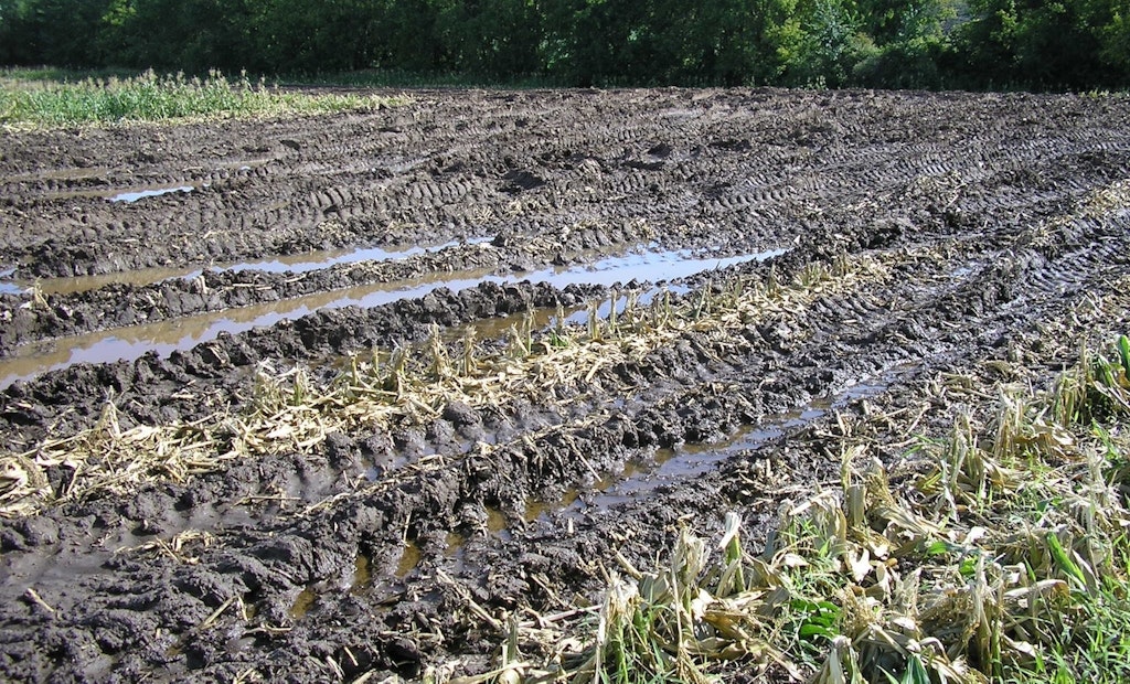 Installation Tips to Maintain Natural Soil Conditions