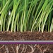 Product Focus - March 2022