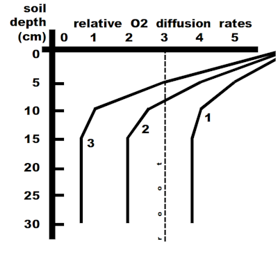 The Problem with Soil Compaction
