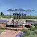 This High Desert City Proves That the Right Landscape Can Be Beautiful and Save Water