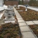 Energy Savings: For a New Hampshire Clean-Water Plant, It's Not Complicated