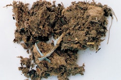 How Do I Get Debris Out of My Sludge?
