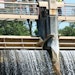 A Slow-Paced Job at the EPA Wasn't Good Enough for This Water Operator