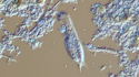 Bug of the Month: Gastrotrich, an Occasional WWTP Visitor