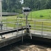 Drylet Microbe and Substrate Formulation Helps Slash Biosolids Volume