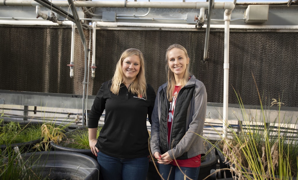 Researchers Testing Floating Treatment Wetlands' Winter Survivability