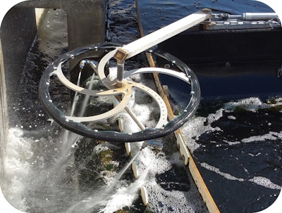 A New and Innovative Way to Keep Weirs Free of Troublesome Green Stuff