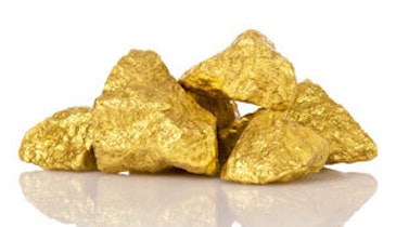 Gold Rush! Could Biosolids Contain Millions in Precious Metals?