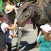 Creatures From Prehistoric Times Visit a California Clean-Water Facility