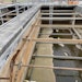 A Graphite-Metal Alloy Bushing Comes to the Rescue of a Problem Clarifier