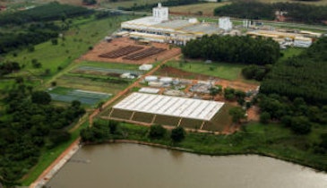 Brazil Dairy Producer Captures Biogas from Anaerobic Digestion