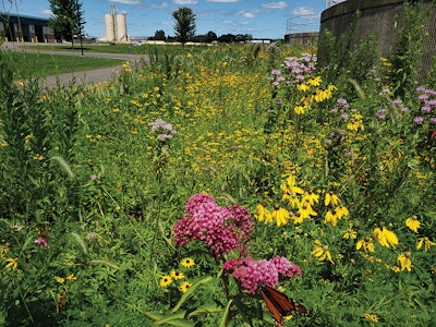 More Than Just Flowers Decorate the Gardens at This Clean-Water Plant