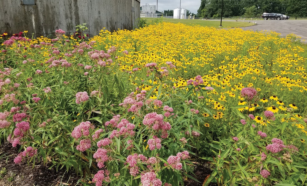 More Than Just Flowers Decorate the Gardens at This Clean-Water Plant