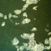 Don't Abandon Your Microscope! It Still Deserves a Place of Honor
