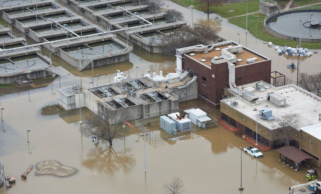 Picking Up the Pieces: St. Louis Plants Recover From Historic Flooding