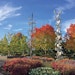 Landscape With a Purpose: Effective Treatment and Botanical Beauty