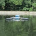 A Low-Powered Electric Mixer Saves Big Money for a Vermont Lagoon Treatment Plant